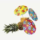 Havaijikukat Cocktail Sateenvarjot
