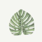 Monstera Servietit Vihreä/Valkoinen