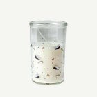 Opiskelija Kynttilä Lasissa Sininen