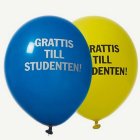 Grattis Till Studenten! Lateksipallot Keltainen/Sininen