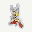 Asterix® Foliopallo