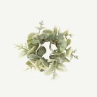 Eukalyptus Lautasliinarengas Vihreä