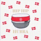 Ylioppilaslakki Servetit Punainen