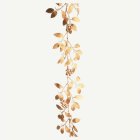 Laakeriköynnös Kulta