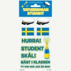 Ruotsalainen Ylioppilas Siirtotatuoinnit