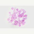 Ruusun Terälehdet Violetti