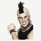 Punkkarin Asustesetti