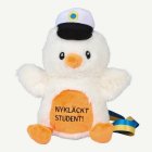 Nykläckt Student! Pehmo Valmistujaisiin
