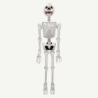 Puhallettava Luuranko Lifesize