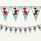 Spidey & His Amazing Friends® Viirinauha