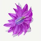 Trooppinen Hiuskukka Violetti