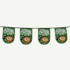 St Patrick's Day Viirinauha