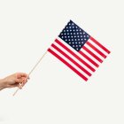 USA:n Lippu Kepissä