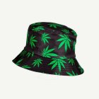 Weed Kalastajanhattu