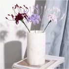 Hämähäkkililja DIY Vaaleanpunainen/Liila