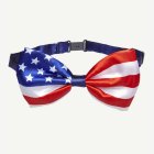 Rusetti Amerikan Lipun Väreissä