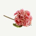 Tekokukka Oksa Hortensia Vaaleanpunainen/Pinkki