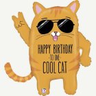 Cool Cat Happy Birthday Foliopallo