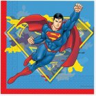 Superman® Lautasliinat