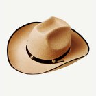 James Cowboy-hattu Beige