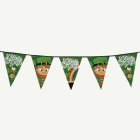 St. Patrick's Day Viirinauha