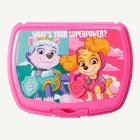 Mikä On Supervoimasi? Paw Patrol® Eväsrasia