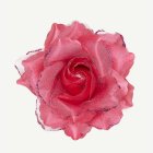 Glitteri Ruusu Hiusklipsi Pinkki
