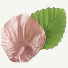 Metallinhohtoiset Lehdet Pöytäkoriste Vihreä/Ruusukulta