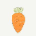 Porkkana Servietit Oranssi/Vihreä/Valkoinen
