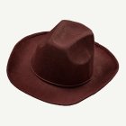 Realistinen Ruskea Cowboyhattu