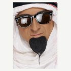 Sheikki Parta
