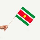 Surinamin Lippu Kepissä