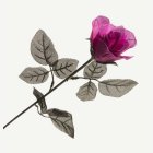 Tekoruusu Violetti