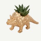 Triceratops Dinosaurus Kukkaruukku