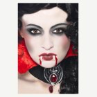 Vampyyrimeikki