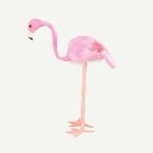 Flamingo Koriste Vaaleanpunainen