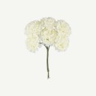 Tekokukat Mini Hortensia Norsunluu