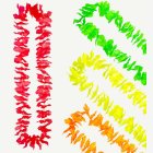Neon Havaiji Kukkalei