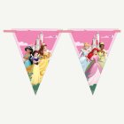Disney Princess® Viirinauha