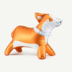 Corgi Foliopallo