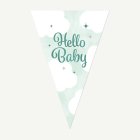 Hello Baby -Viirinauha