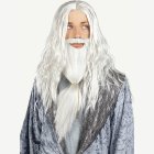 Harry Potter® Dumbledore Peruukki & Parta