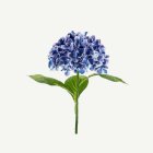 Tekokukka Premium Hortensia Merensininen