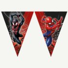 Spider-Man® Viirinauha