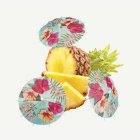 Havaijikukat Cocktail Sateenvarjot