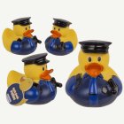 Poliisi kylpyankka