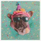 Party Dogs Lautasliinat