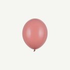 Pienet Ilmapallot Pastelli Wild Rose