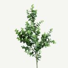 Eucalyptuksen Oksa Keinotekoinen