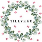 Tillykke Lautasliinat